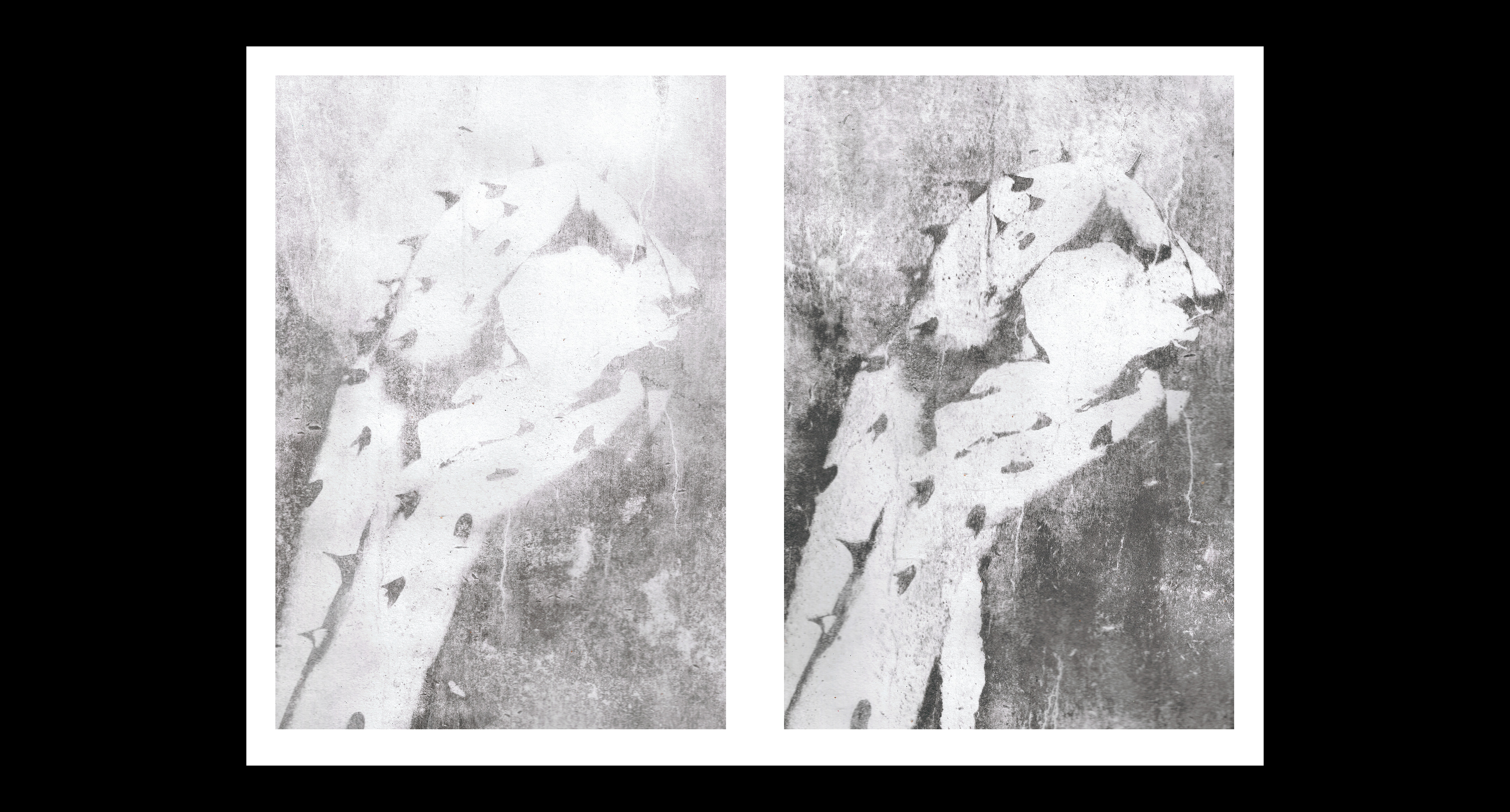 Experimental printing