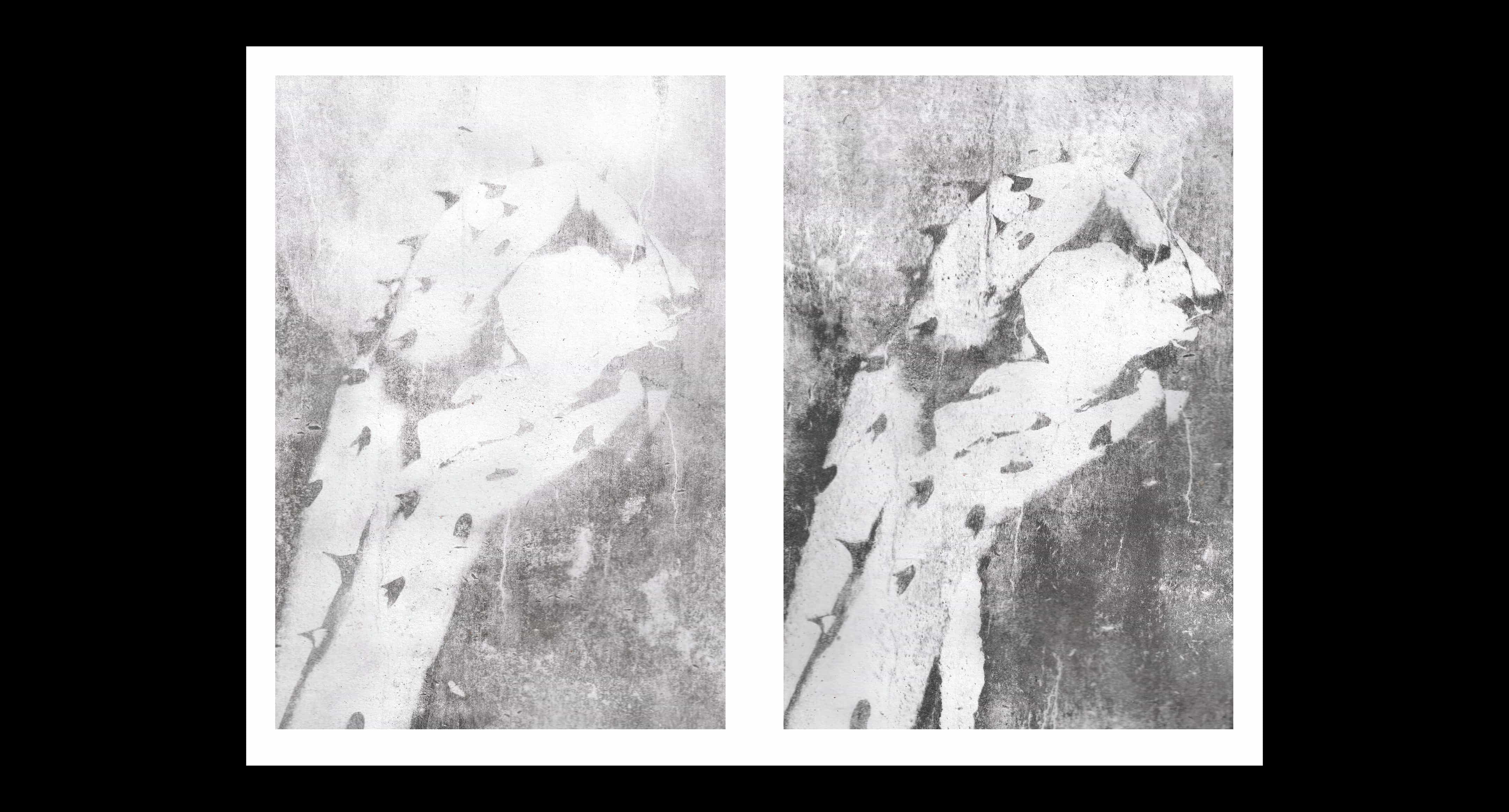 Experimental printing