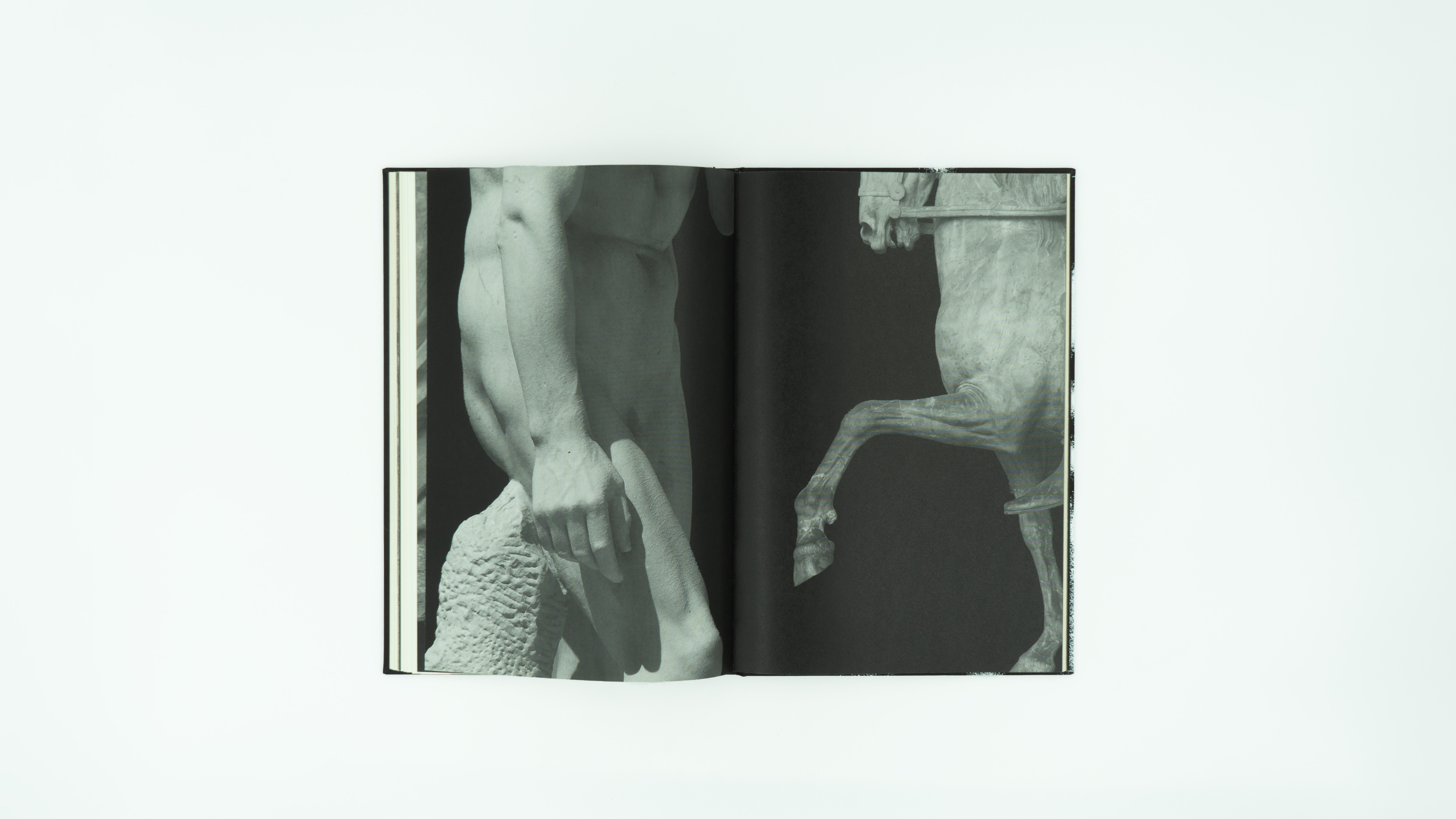 Les statues de la discorde