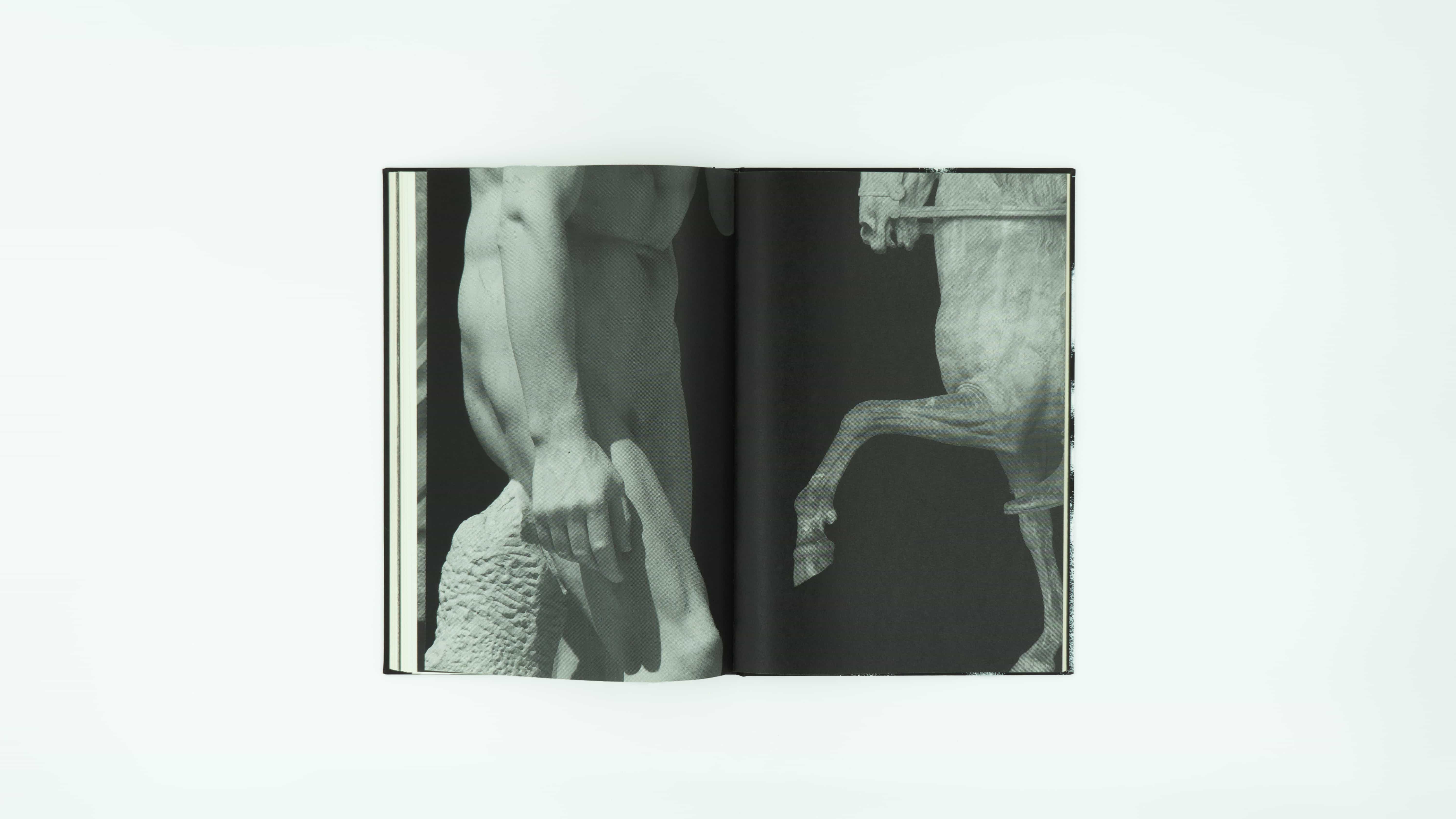 Les statues de la discorde